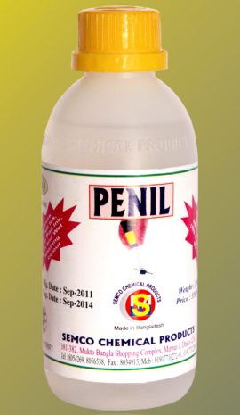 Penil